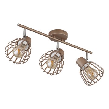 Globo - Φωτιστικό σποτ 3xE27/40W/230V