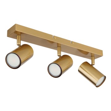 Globo - Φωτιστικό σποτ 3xGU10/35W/230V χρυσό