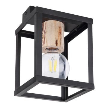 Globo - Φωτιστικό οροφής 1xE27/60W/230V