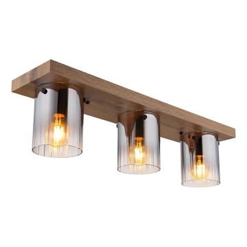 Globo - Φωτιστικό οροφής 3xE27/40W/230V