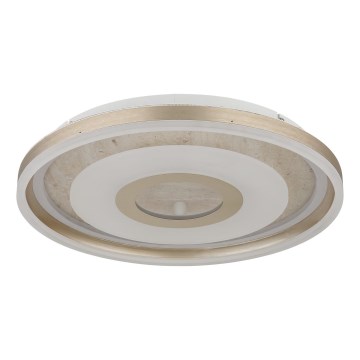 Globo - Φωτιστικό οροφής LED/40W/230V 3000K διάμ. 50 cm