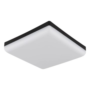 Globo - Φωτιστικό οροφής LED LED/12W/230V 4000K 22x22 cm μαύρο