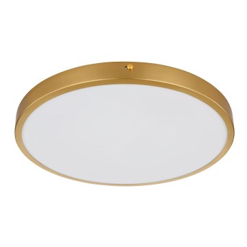 Globo - Φωτιστικό οροφής LED LED/22W/230V διάμετρος 35 cm