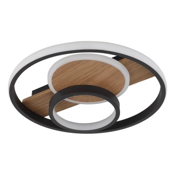 Globo - Φωτιστικό οροφής LED LED/24W/230V