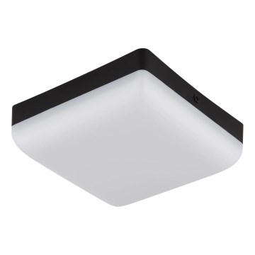 Globo - Φωτιστικό οροφής LED LED/8W/230V 4000K 12x12 cm μαύρο