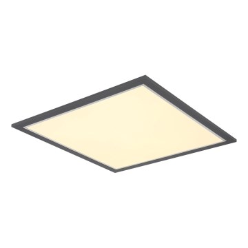 Globo - Φωτιστικό οροφής LED LED/24W/230V