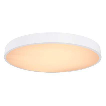Globo - LED Ρυθμιζόμενο Φωτιστικό Οροφής LED/48W/230V 3000-6000K + τηλεχειριστήριο