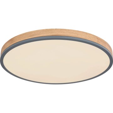 Globo - LED Dimmable φωτιστικό οροφής LED/40W/230V 2700-6500K διάμετρος 60 cm + τηλεχειριστήριο καφέ/γκρι