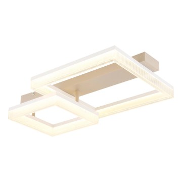 Globo - LED φωτιστικό οροφής LED/24W/230V 3000K 33x53 cm