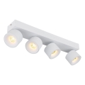 Globo - LED Σποτ 4xLED/6W/230V λευκό