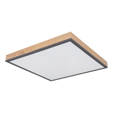 Globo - LED Ρυθμιζόμενο φωτιστικό οροφής LED/24W/230V 3000-6500K 45x45 cm