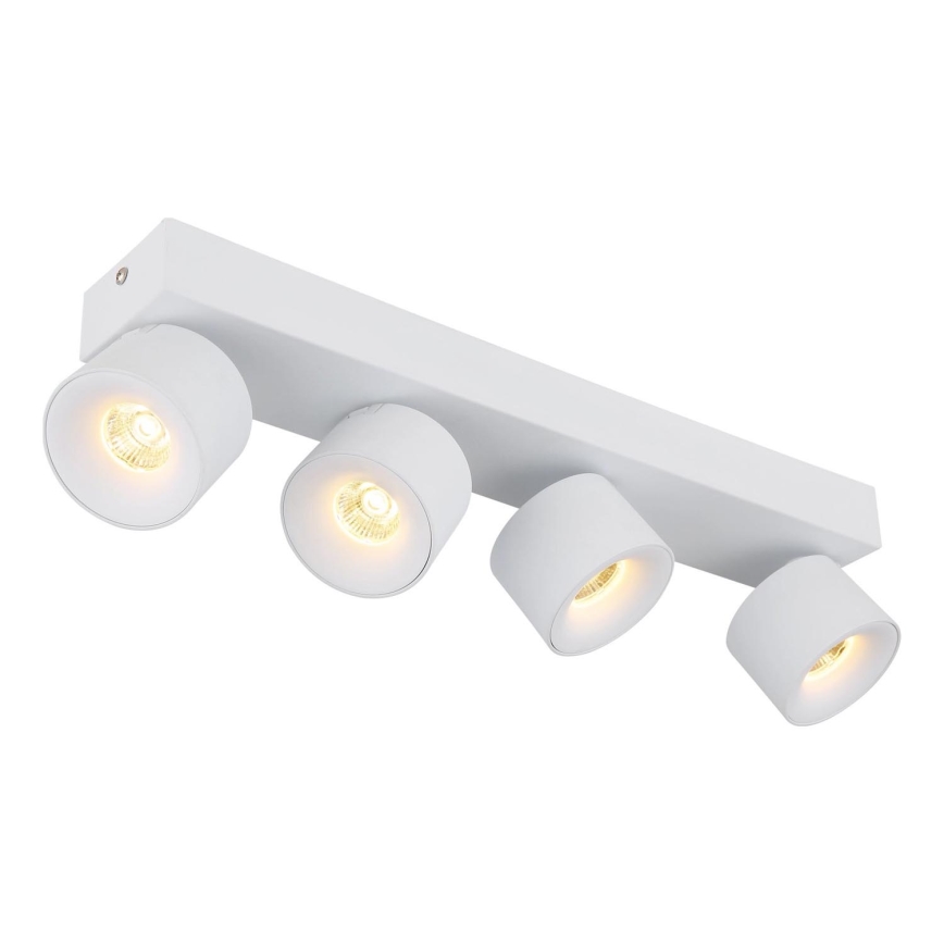 Globo - LED Σποτ 4xLED/6W/230V λευκό