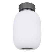 Globo - LED Φωτιστικό Οροφής LED/21W/230V