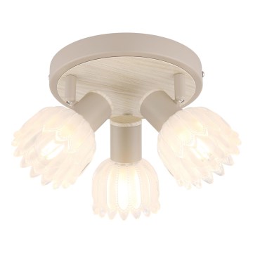 Globo - Σποτ φωτιστικό 3xE14/40W/230V