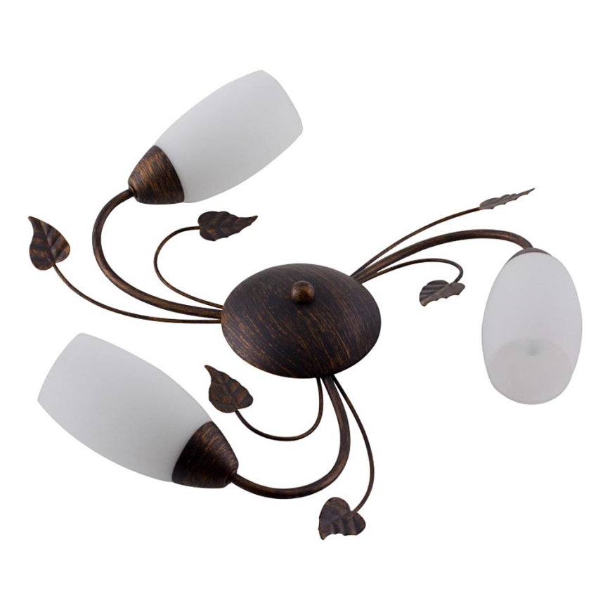 Globo - Πλαφονιέρα οροφής 3xE14/40W/230V