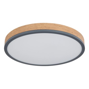 Globo - Ρυθμιζόμενο φωτιστικό οροφής LED/24W/230V 2700-6500K διάμ. 45 cm