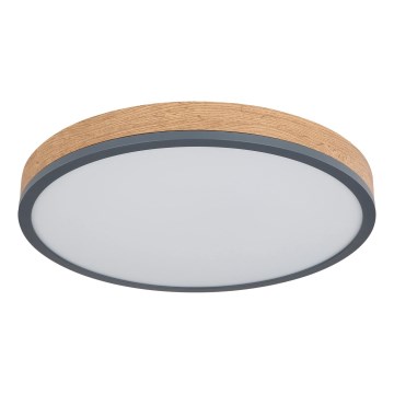 Globo - Ρυθμιζόμενο φωτιστικό οροφής LED/24W/230V 3000-6500K Ø 45 cm