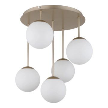 Globo - Επιφανειακό φωτιστικό οροφής 5xE14/25W/230V, μπρούτζινο
