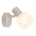 Globo - Επιτοίχιο φωτιστικό σποτ 1xE14/40W/230V