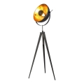 Globo - Επιδαπέδιο φωτιστικό 1xE27/40W/230V