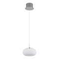 Globo -  Κρεμαστό φωτιστικό οροφής LED LED/6W/230V λευκό