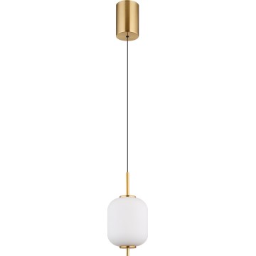 Globo -  Κρεμαστό φωτιστικό οροφής LED LED/7W/230V