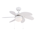 Globo - Οροφής ανεμιστήρας 1xE14/60W/230V