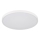 Globo - Φωτιστικό οροφής LED/15W/230V 4000K διάμ. 23 cm λευκό