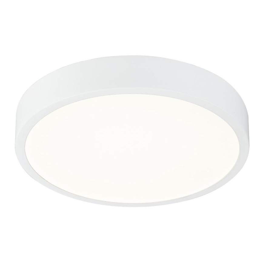 Globo - Φωτιστικό οροφής LED Dimmable LED/22W/230V