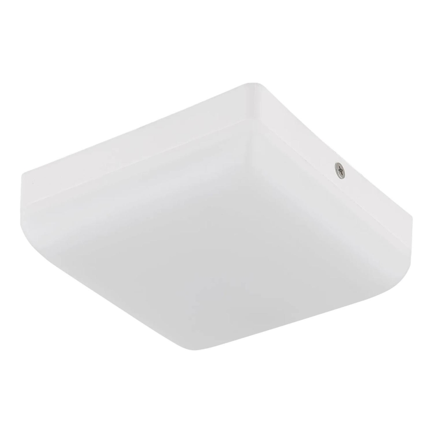 Globo - Φωτιστικό οροφής LED LED/8W/230V 4000K 12x12 cm λευκό