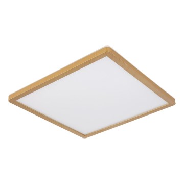 Globo - Φωτιστικό οροφής μπάνιου dimming LED LED/24W/230V 3000K IP44 42x42 cm ορείχαλκος