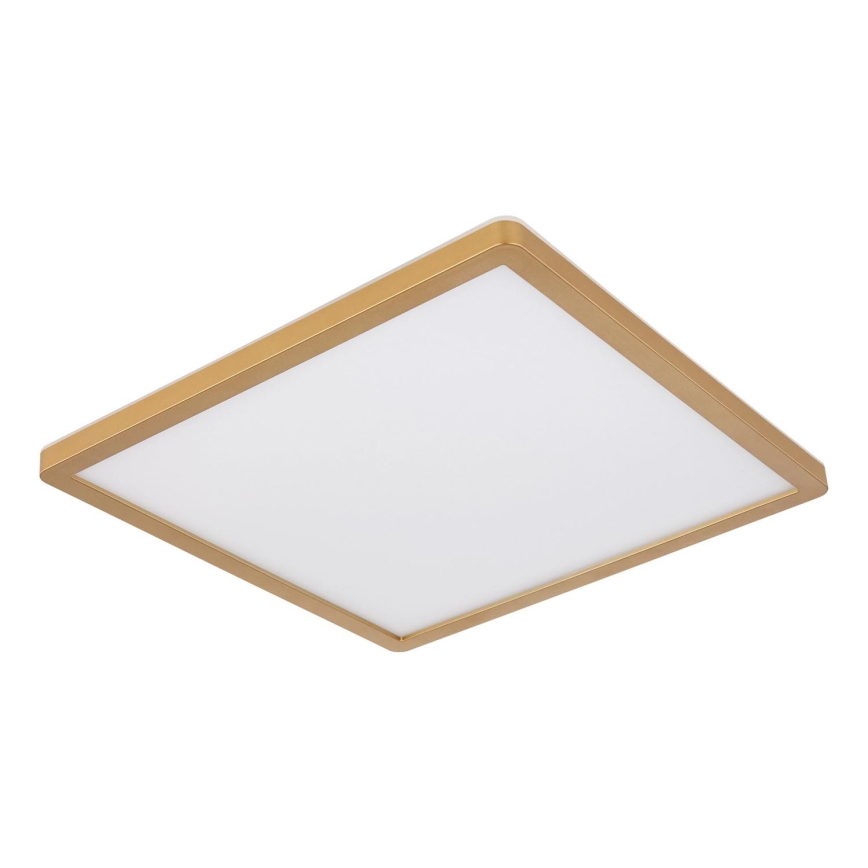 Globo - Φωτιστικό οροφής μπάνιου dimming LED LED/24W/230V 3000K IP44 42x42 cm ορείχαλκος