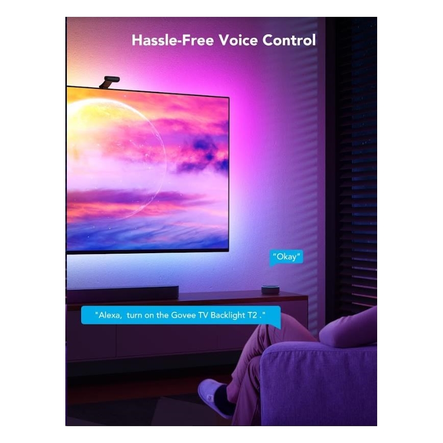 Govee - DreamView T2 DUAL TV 55-65 Έξυπνος LED οπίσθιος φωτισμός RGBIC Wi-Fi + τηλεχειριστήριο