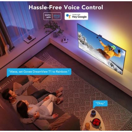 Govee - DreamView Οπίσθιος φωτισμός για TV 55-65 SMART LED RGBIC Wi-Fi