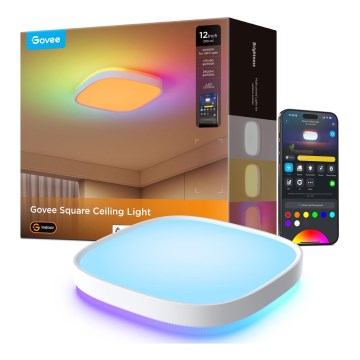 Govee - LED RGBIC Φωτιστικό οροφής dimming LED/24W/230V 2700-6500K Wi-Fi 30x30 cm