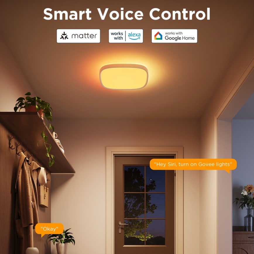 Govee - LED RGBIC Φωτιστικό οροφής dimming LED/24W/230V 2700-6500K Wi-Fi