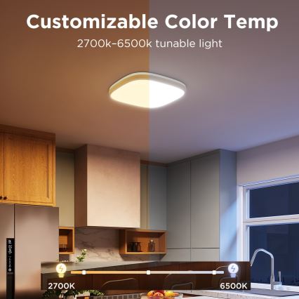 Govee - LED RGBIC Φωτιστικό οροφής dimming LED/24W/230V 2700-6500K Wi-Fi