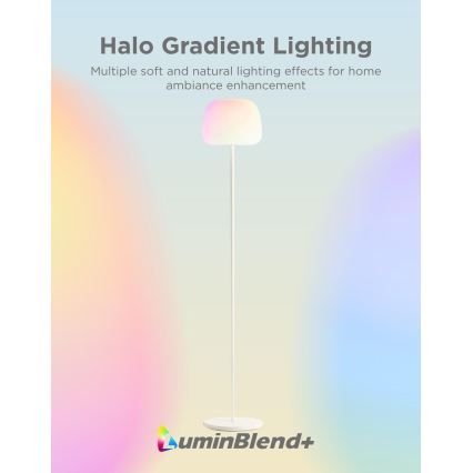 Govee - LED RGBICWW Ρυθμιζόμενο επιδαπέδιο φωτιστικό LANTERN MATTER LED/24W/230V Wi-Fi 160 cm