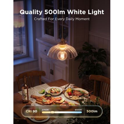 Govee - Ρυθμιζόμενος λαμπτήρας LED RGBWW Smart MATTER G80 E27/5W/230V 2700-6500K Wi-Fi