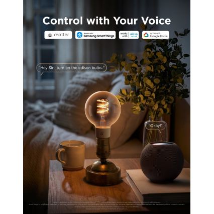 Govee - Ρυθμιζόμενος λαμπτήρας LED RGBWW Smart MATTER G80 E27/5W/230V 2700-6500K Wi-Fi