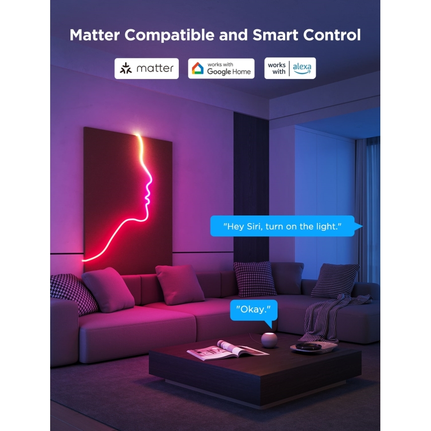 Govee - Neon 2 MATTER εύκαμπτη ταινία LED 5m RGBIC Wi-Fi IP67