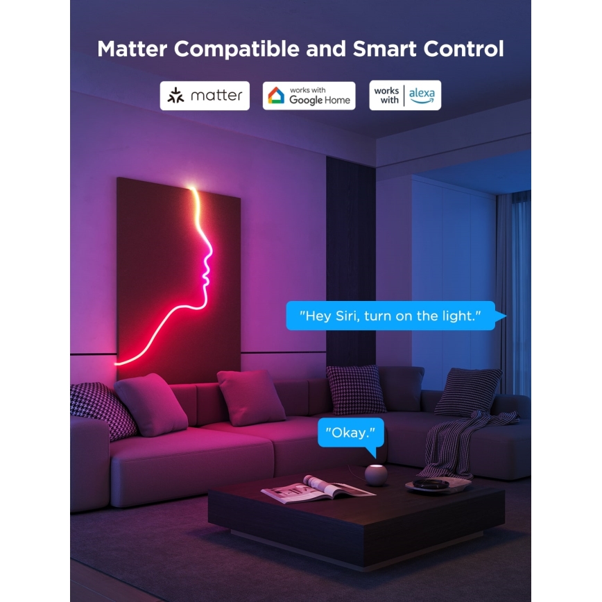 Govee - Neon 2 MATTER Ταινία LED εύκαμπτη 3m RGBIC Wi-Fi IP67