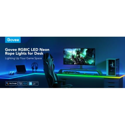 Govee - Neon LED επιτραπέζιος οπίσθιος φωτισμός 3m RGBIC Wi-Fi