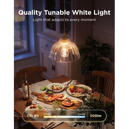 Govee - ΣΕΤ 2xLED RGBWW ρυθμιζόμενες λάμπες Smart MATTER ST64 E27/5W/230V 2700-6500K Wi-Fi