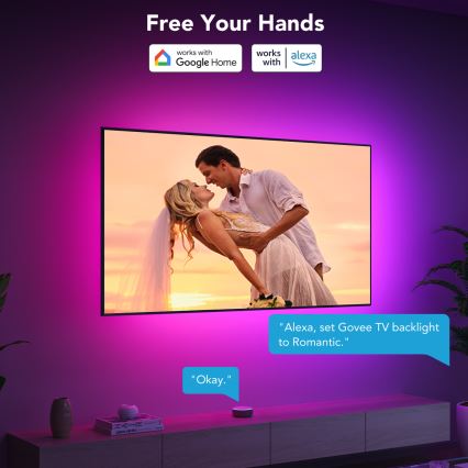 Govee - Smart LED οπίσθιος φωτισμός RGBIC για τηλεοράσεις 55-65 Wi-Fi
