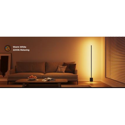Govee - Επιδαπέδια λάμπα dimming LED Smart MATTER LED RGBICWW 2200-6500K Wi-Fi + τηλεχειριστήριο