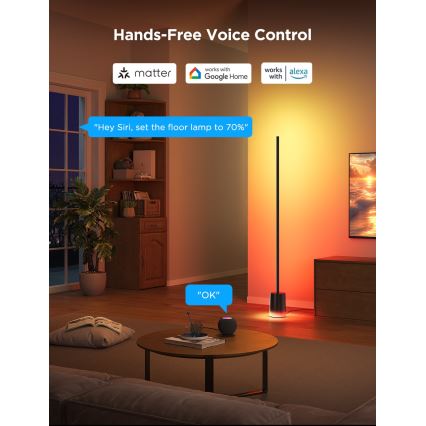 Govee - Επιδαπέδια λάμπα dimming LED Smart MATTER LED RGBICWW 2200-6500K Wi-Fi + τηλεχειριστήριο