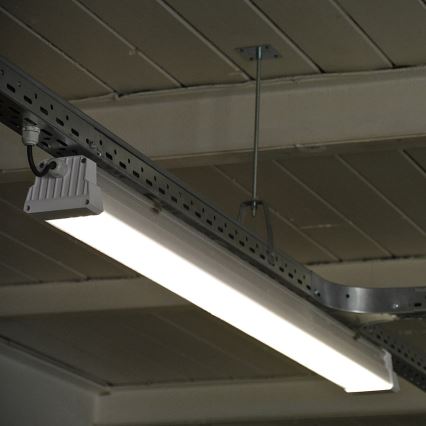 Greenlux GXWP382 - Φωτιστικό εργασίας φθορίου LED DUST PRO LED/70W/230V IP66 4000K