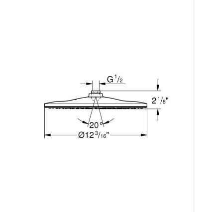 GROHE 26569000 - Κεφαλή ντους RAINSHOWER 310 mm γυαλιστερό χρώμιο