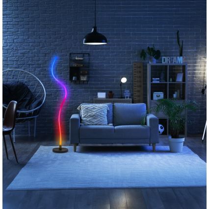Grundig - LED RGB ρυθμιζόμενο επιδαπέδιο φωτιστικό LED/5W/5V + τηλεχειριστήριο